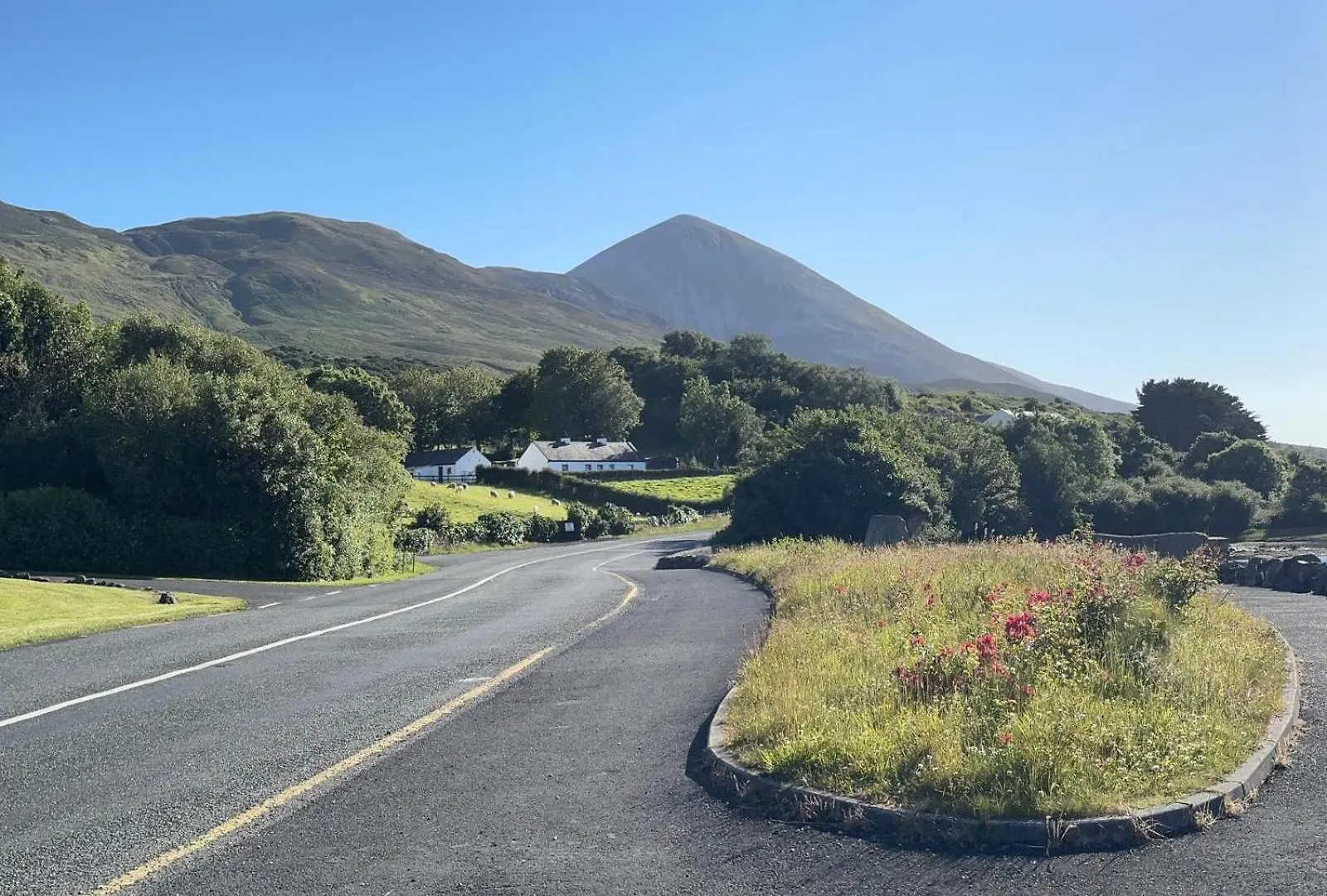 Gæstehus Ashville Guesthouse Westport